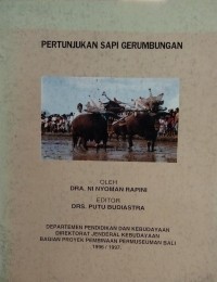 Pertunjukan Sapi Gerumbungan